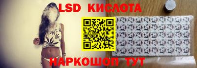 шишки Обнинск
