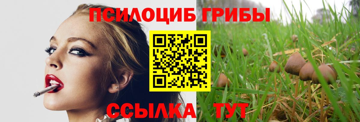 Усолье-Сибирское  Галлюциногенные грибы Psilocybe  Вход с VPN 